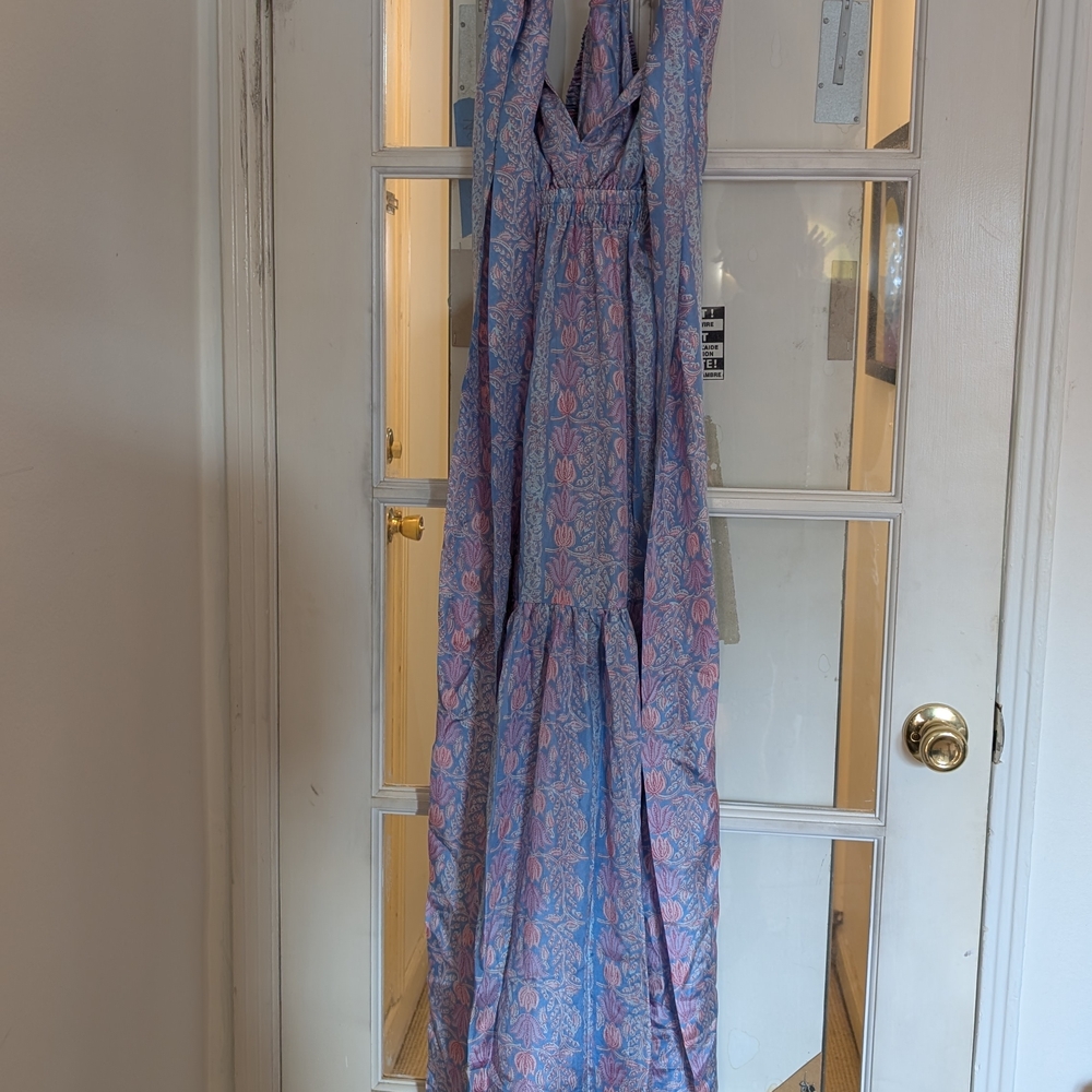 Hannah Blue and Pink Floral Maxi Dress